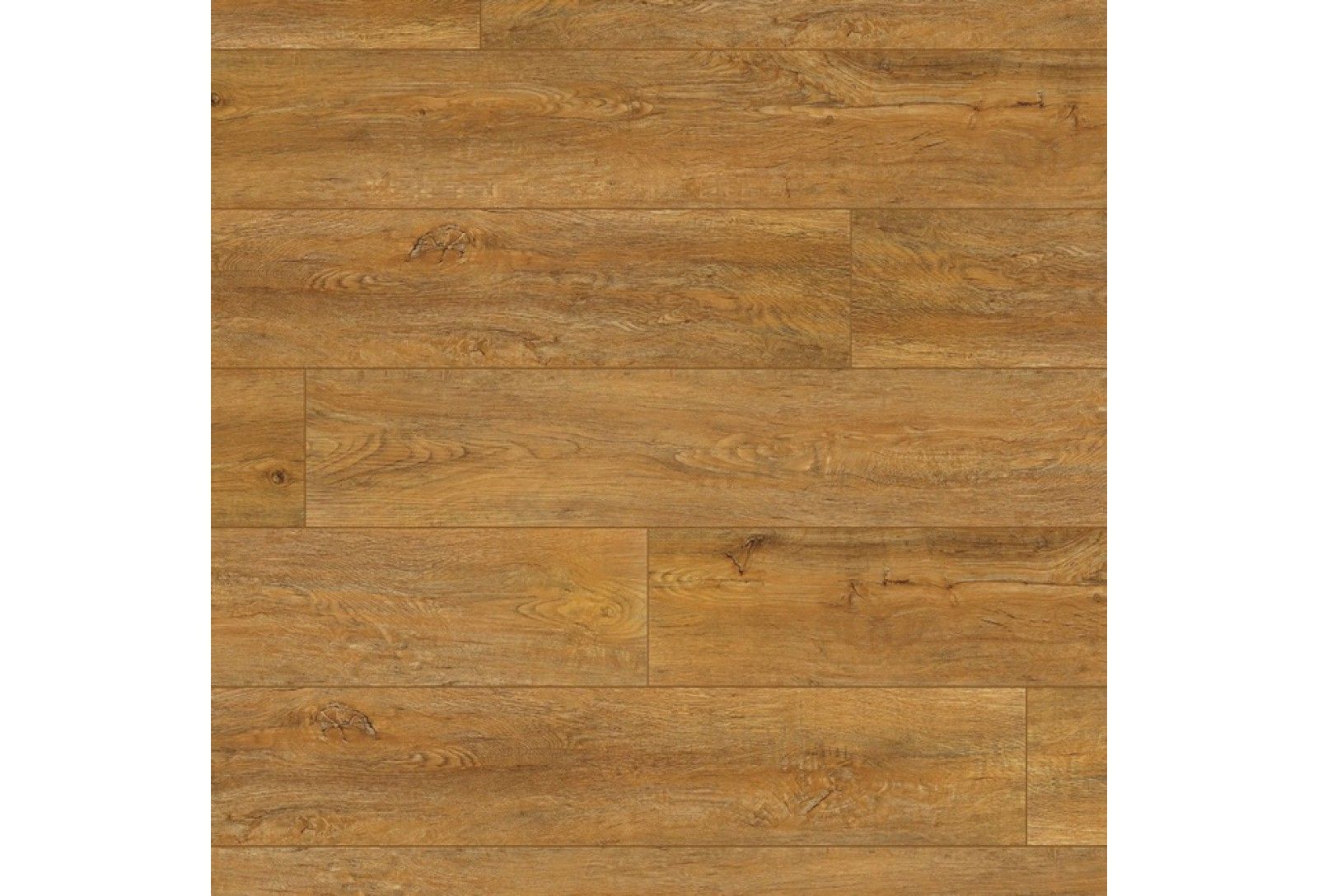 Grabo_Domino-SPC_Malister_1x1